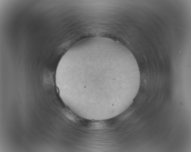 X0000064040286200602171652