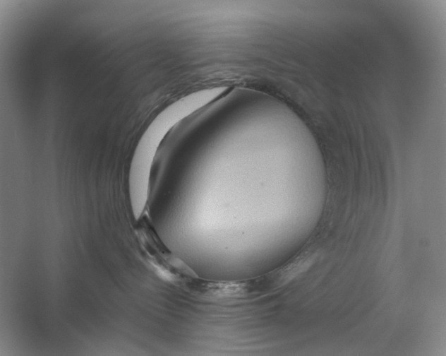 X0000064040288200602171652