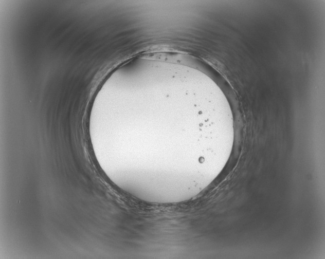 X0000064040289200602171651