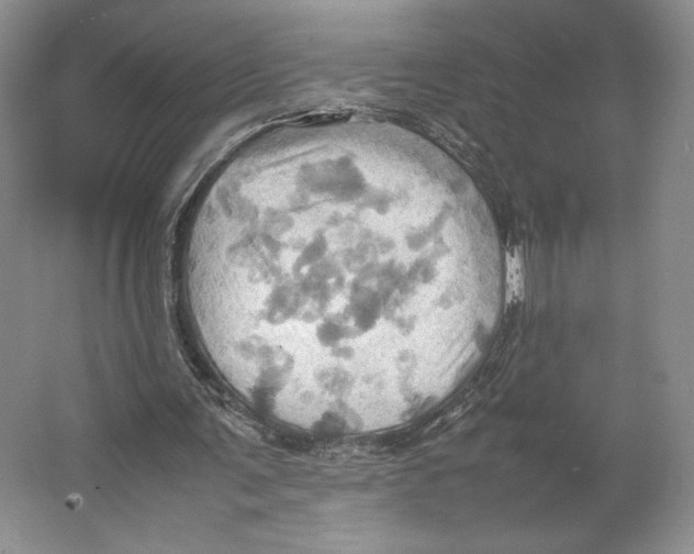 X0000064040291200602171651