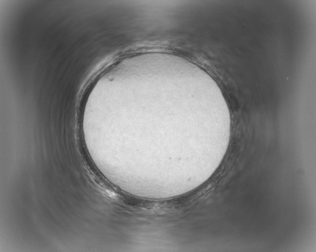 X0000064040293200602171651