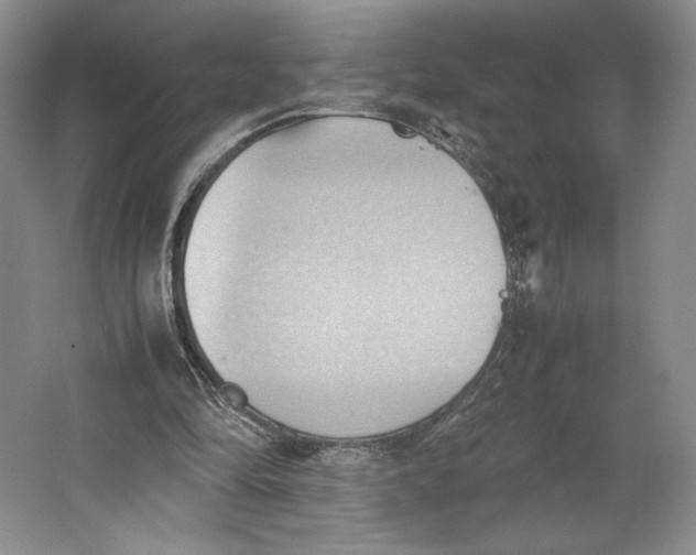 X0000064040294200602171651