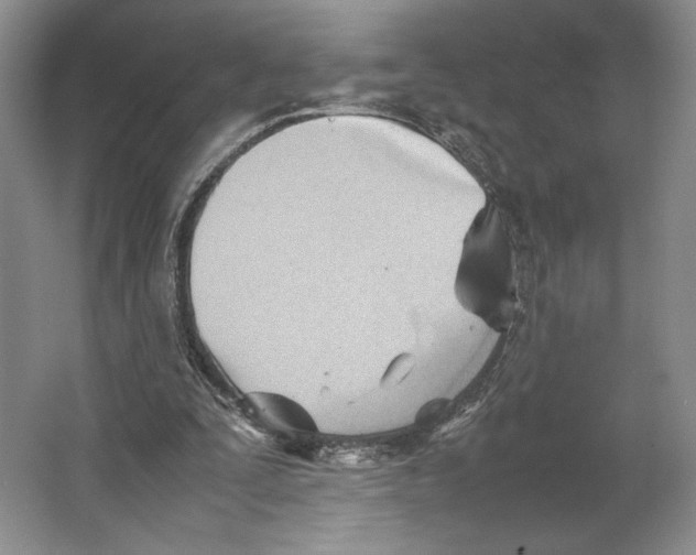 X0000064040295200602171651