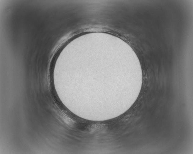 X0000064040296200602171651