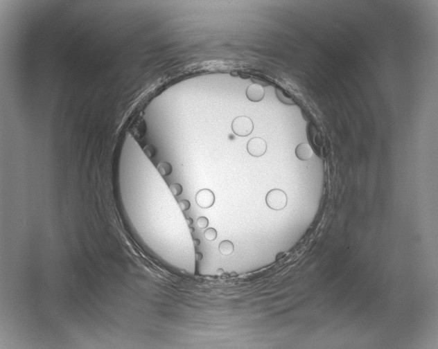 X0000064040297200602171651