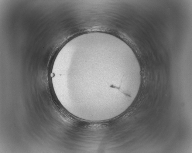 X0000064040298200602171651