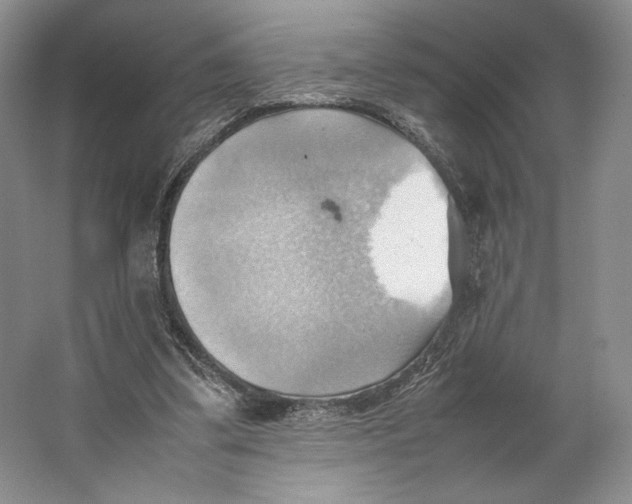 X0000064040299200602171651