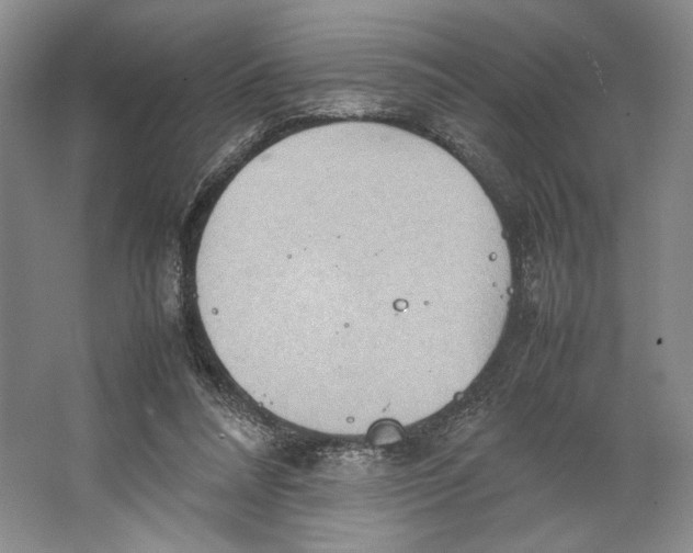 X0000064040304200602171651