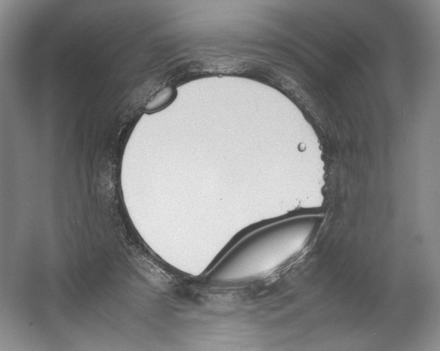 X0000064040305200602171651