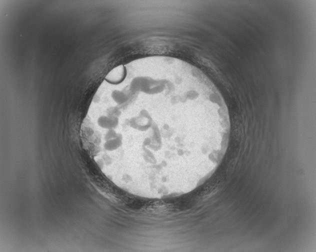 X0000064040307200602171651