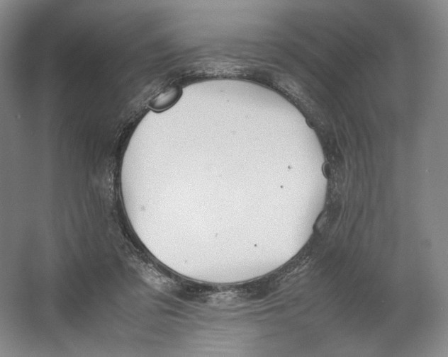 X0000064040309200602171651