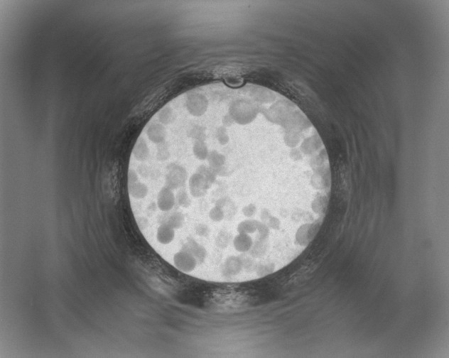 X0000064040311200602171651