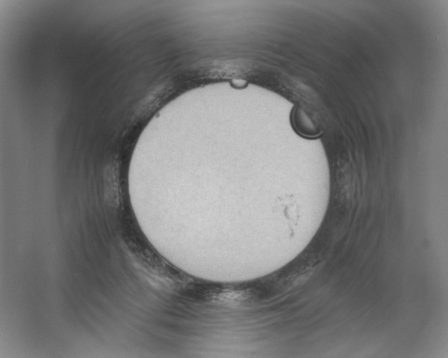 X0000064040312200602171651