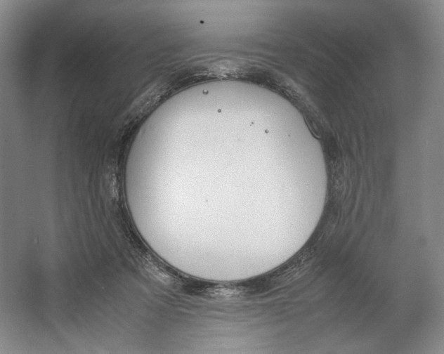 X0000064040313200602171651