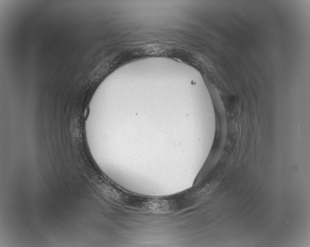 X0000064040317200602171651