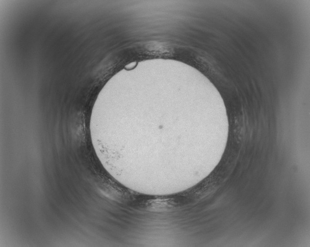 X0000064040320200602171651