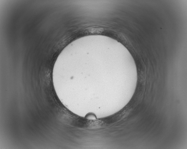 X0000064040321200602171651