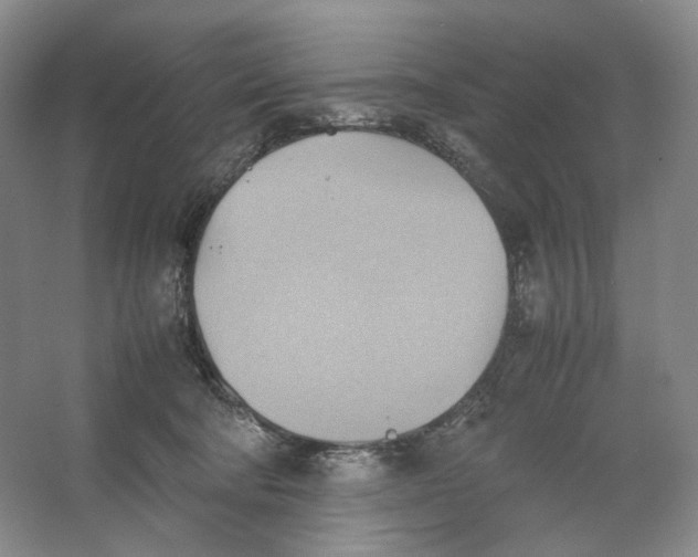 X0000064040322200602171651