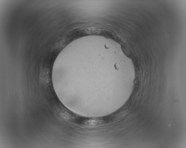 X0000064040323200602171651