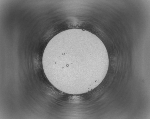 X0000064040324200602171651