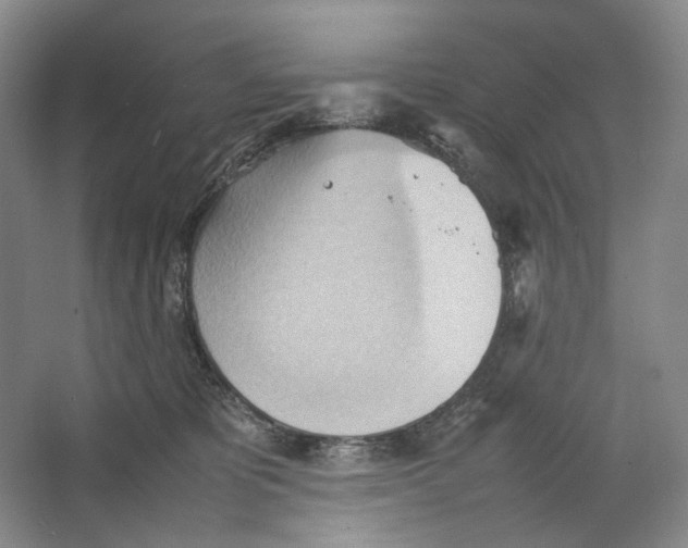 X0000064040325200602171651