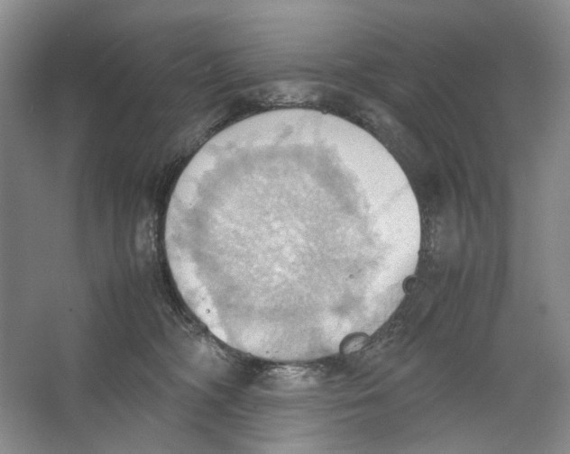 X0000064040326200602171651