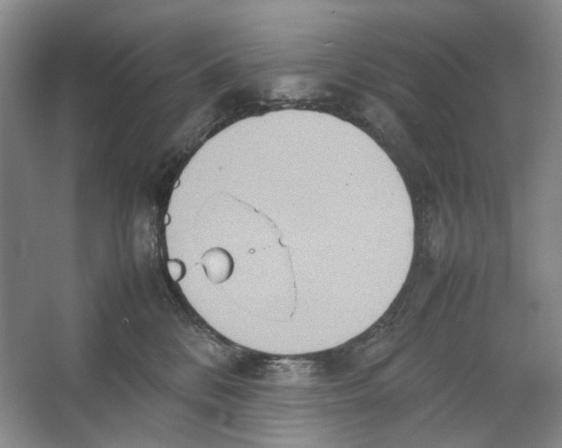 X0000064040328200602171651