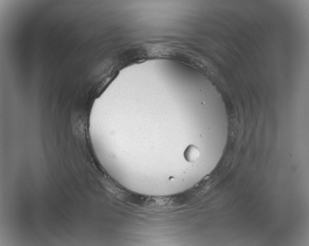 X0000064040329200602171651