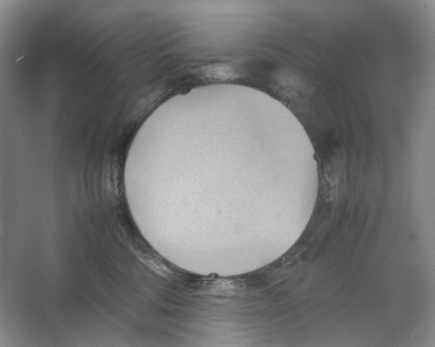 X0000064040330200602171651