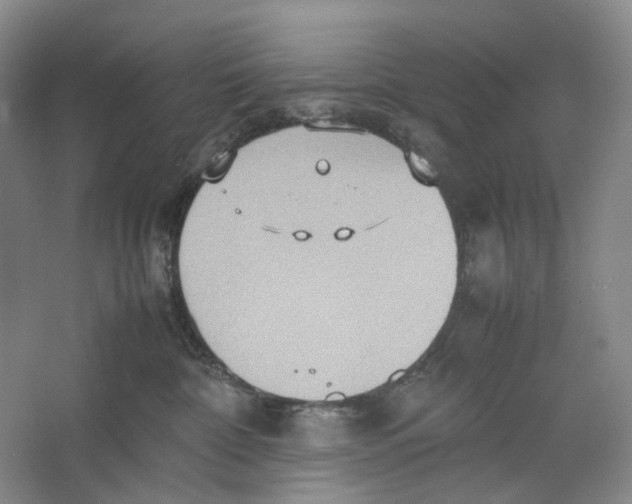 X0000064040332200602171651