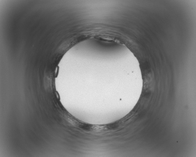 X0000064040333200602171651