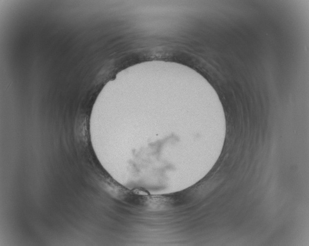 X0000064040336200602171651