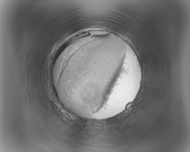 X0000064040337200602171650