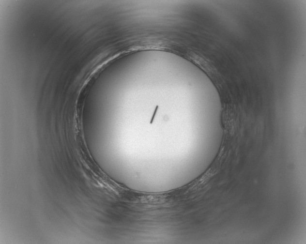 X0000064040338200602171650