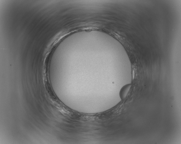 X0000064040339200602171650