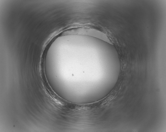 X0000064040340200602171650