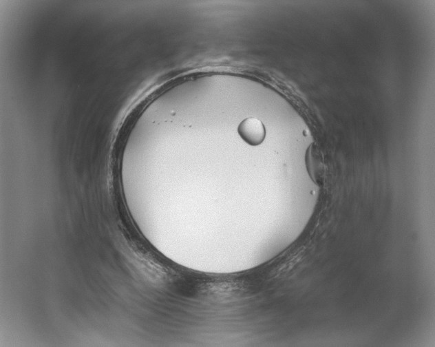 X0000064040344200602171650