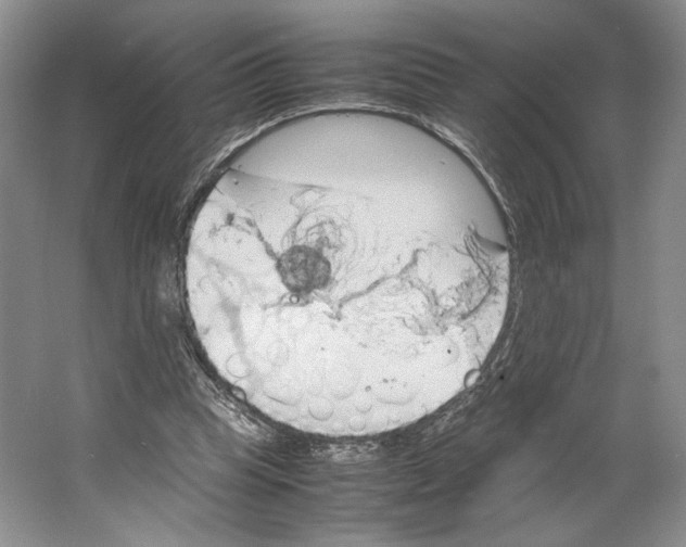 X0000064040345200602171650