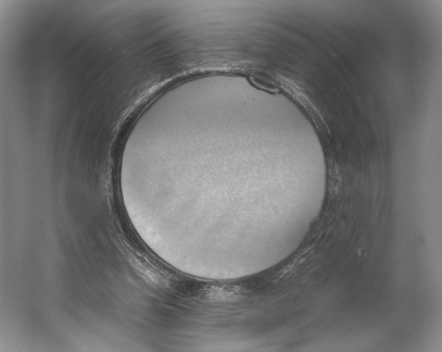 X0000064040346200602171650