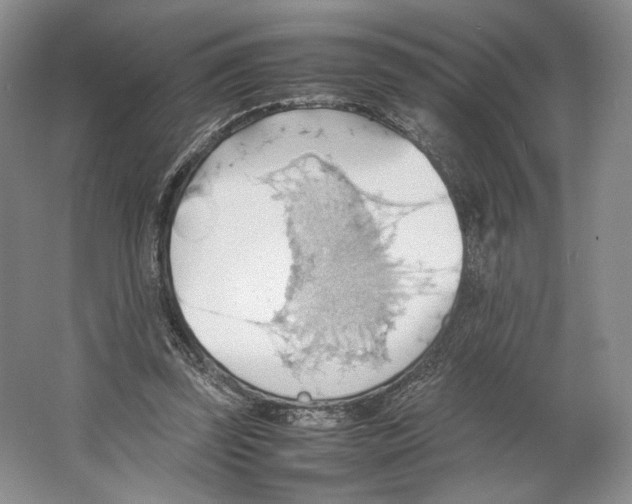 X0000064040347200602171650