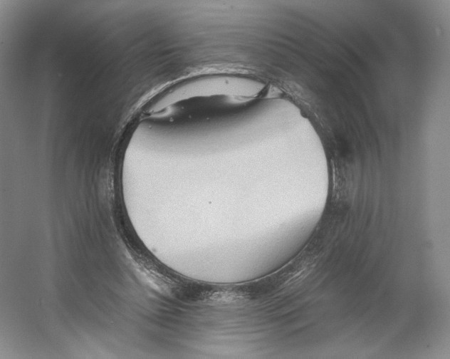 X0000064040348200602171650