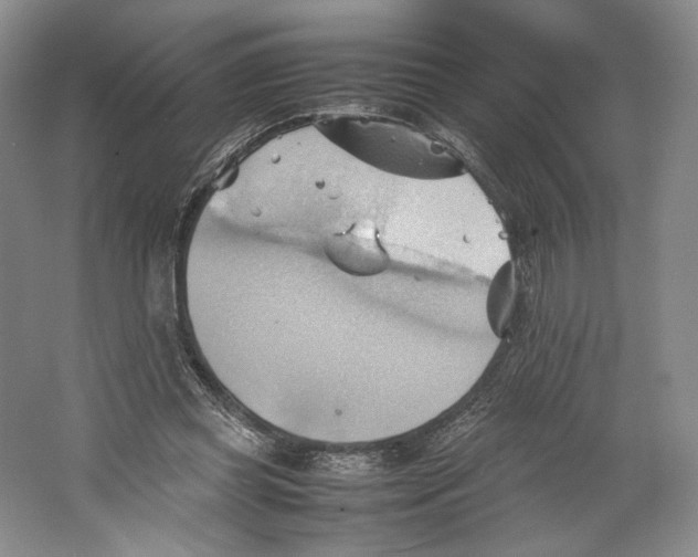 X0000064040349200602171650