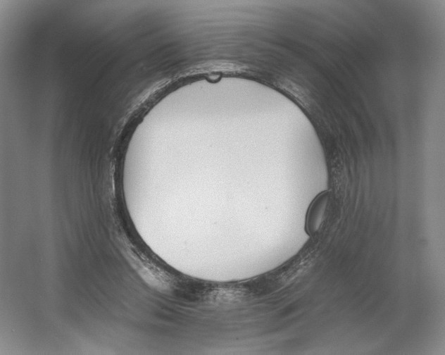 X0000064040350200602171650