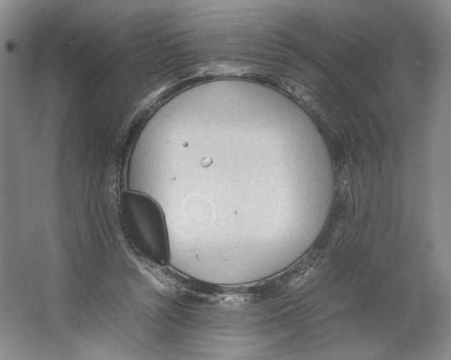 X0000064040352200602171650