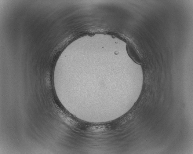 X0000064040353200602171650