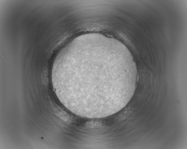 X0000064040354200602171650