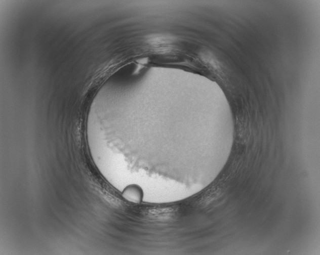 X0000064040357200602171650