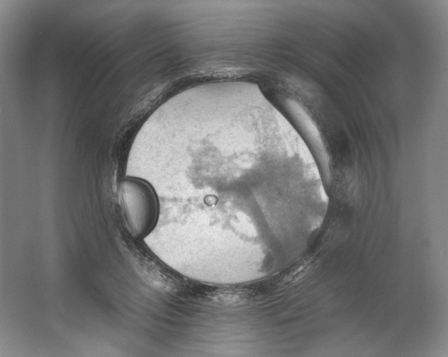 X0000064040358200602171650