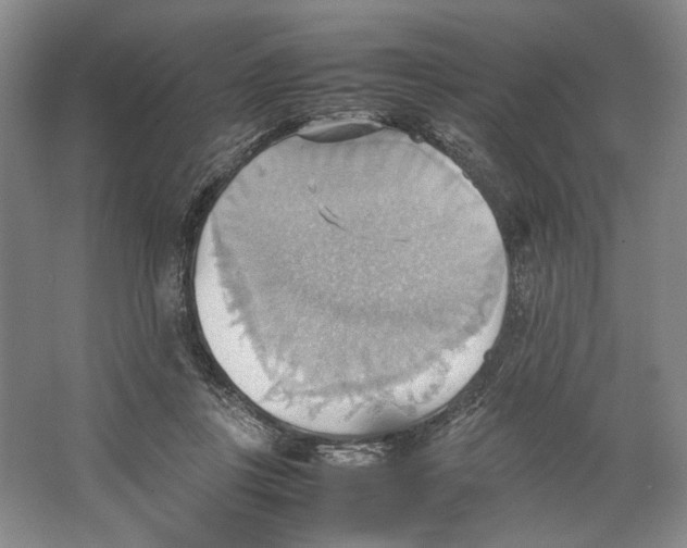 X0000064040359200602171650