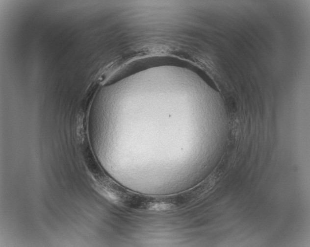 X0000064040360200602171650